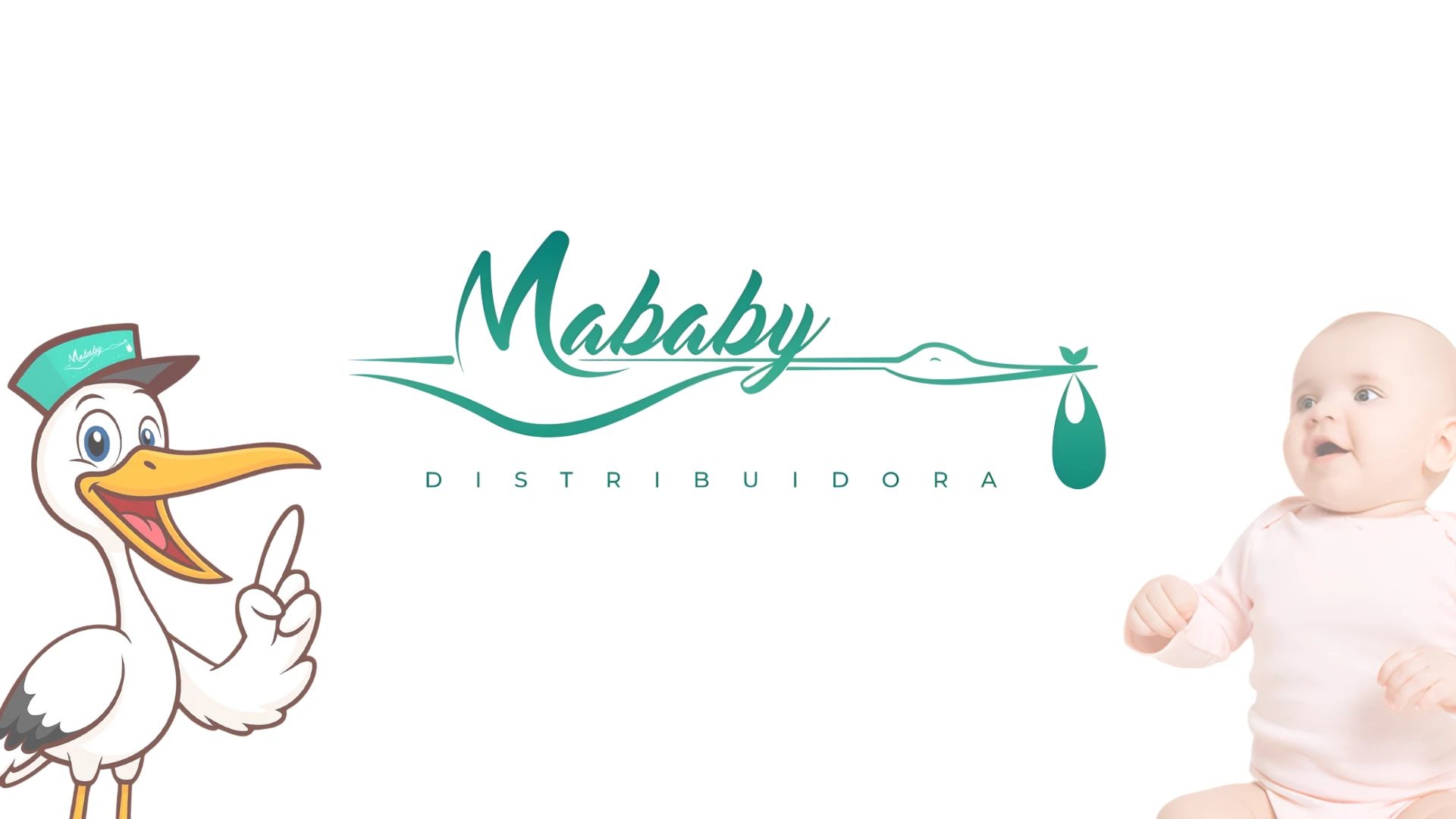 Transporte Rodoviário